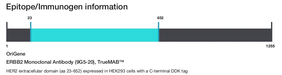 ERBB2 Monoclonal Antibody (9G5-20), TrueMAB&trade;
