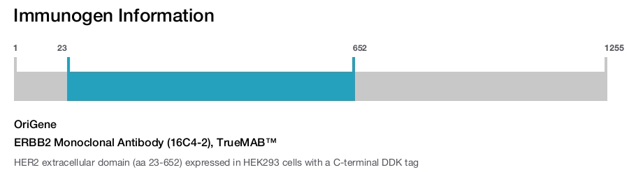 ERBB2 Monoclonal Antibody (16C4-2), TrueMAB&trade;