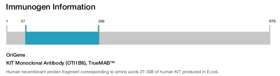 KIT Monoclonal Antibody (OTI1B6), TrueMAB&trade;