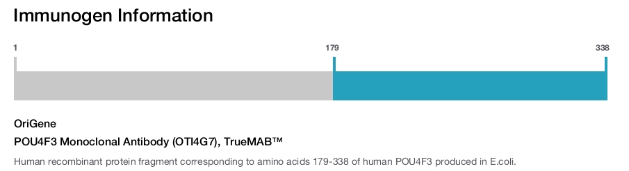POU4F3 Monoclonal Antibody (OTI4G7), TrueMAB&trade;