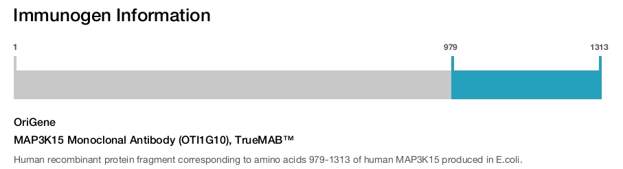 MAP3K15 Monoclonal Antibody (OTI1G10), TrueMAB&trade;