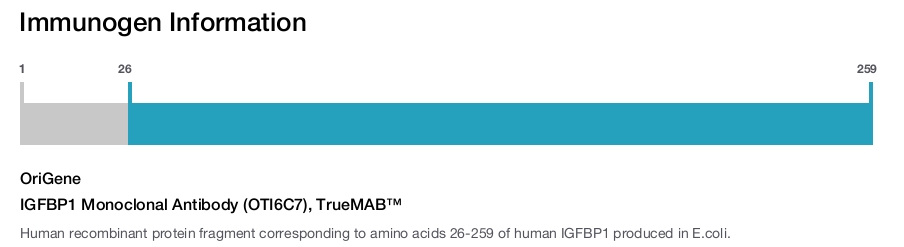 IGFBP1 Monoclonal Antibody (OTI6C7), TrueMAB&trade;