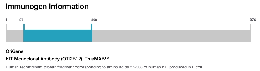 KIT Monoclonal Antibody (OTI2B12), TrueMAB&trade;