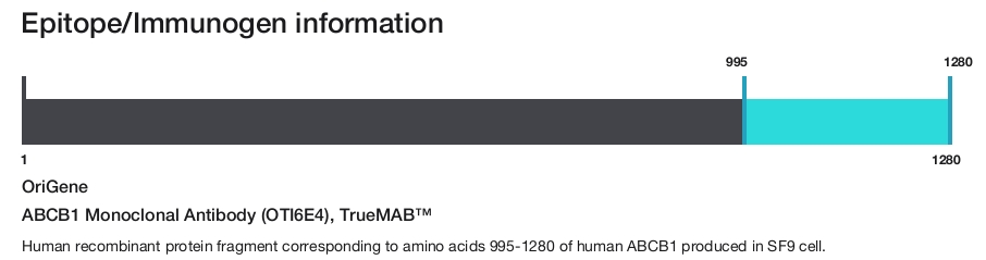 ABCB1 Monoclonal Antibody (OTI6E4), TrueMAB&trade;
