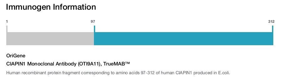 CIAPIN1 Monoclonal Antibody (OTI9A11), TrueMAB&trade;