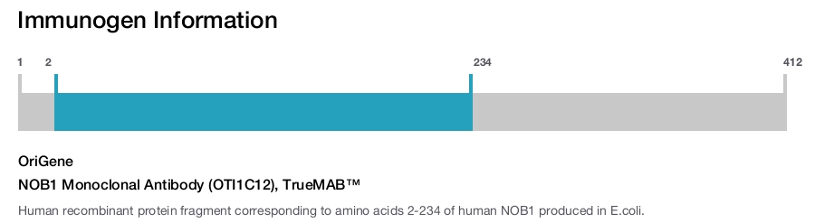 NOB1 Monoclonal Antibody (OTI1C12), TrueMAB&trade;