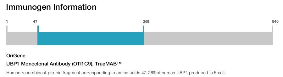 UBP1 Monoclonal Antibody (OTI1C9), TrueMAB&trade;