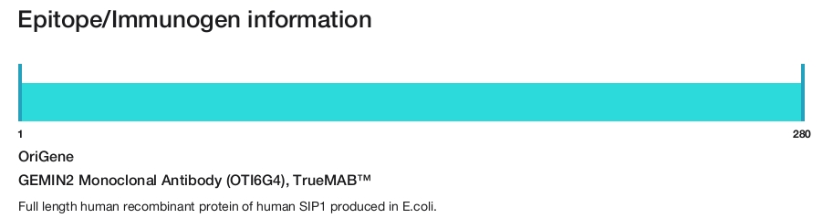 GEMIN2 Monoclonal Antibody (OTI6G4), TrueMAB&trade;