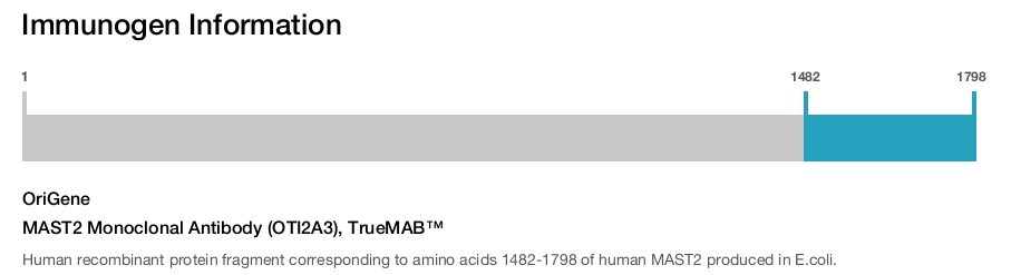 MAST2 Monoclonal Antibody (OTI2A3), TrueMAB&trade;