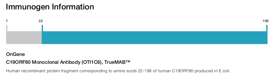 C19ORF80 Monoclonal Antibody (OTI1C6), TrueMAB&trade;