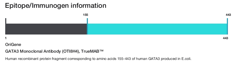 GATA3 Monoclonal Antibody (OTI8H4), TrueMAB&trade;