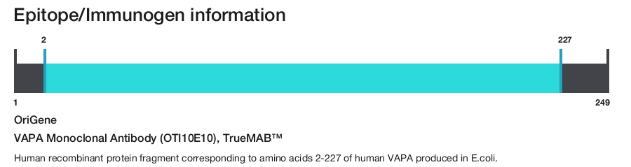 VAPA Monoclonal Antibody (OTI10E10), TrueMAB&trade;