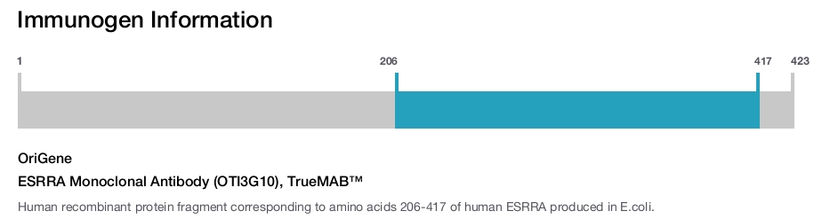 ESRRA Monoclonal Antibody (OTI3G10), TrueMAB&trade;