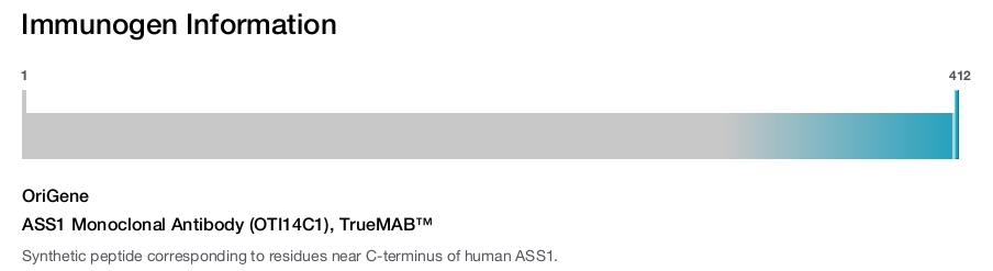 ASS1 Monoclonal Antibody (OTI14C1), TrueMAB&trade;
