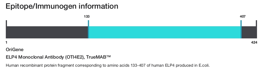 ELP4 Monoclonal Antibody (OTI4E2), TrueMAB&trade;