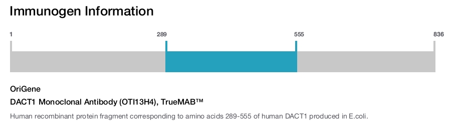 DACT1 Monoclonal Antibody (OTI13H4), TrueMAB&trade;