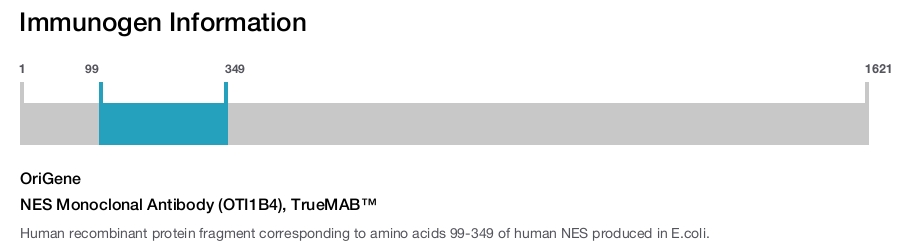 NES Monoclonal Antibody (OTI1B4), TrueMAB&trade;