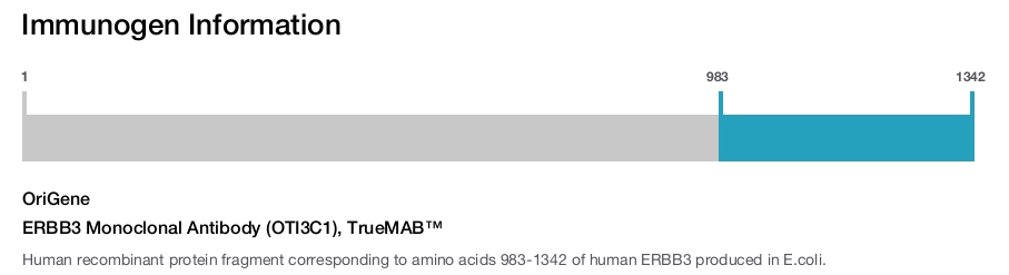ERBB3 Monoclonal Antibody (OTI3C1), TrueMAB&trade;