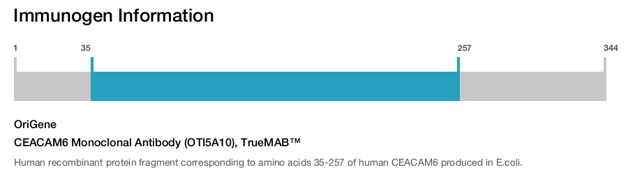 CEACAM6 Monoclonal Antibody (OTI5A10), TrueMAB&trade;