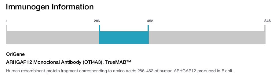 ARHGAP12 Monoclonal Antibody (OTI4A3), TrueMAB&trade;
