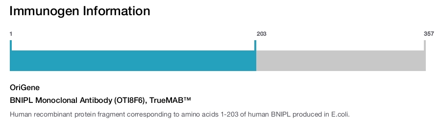 BNIPL Monoclonal Antibody (OTI8F6), TrueMAB&trade;