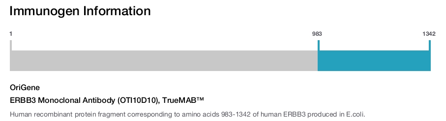 ERBB3 Monoclonal Antibody (OTI10D10), TrueMAB&trade;