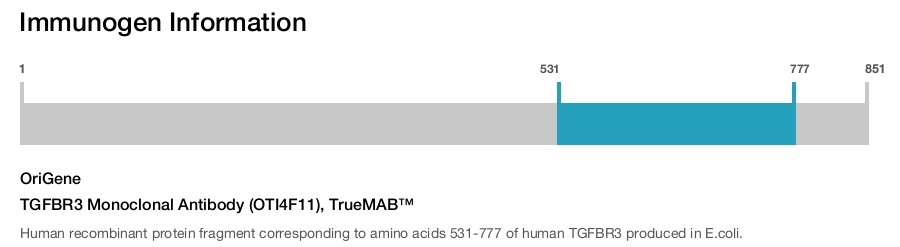 TGFBR3 Monoclonal Antibody (OTI4F11), TrueMAB&trade;