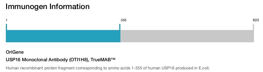 USP16 Monoclonal Antibody (OTI1H8), TrueMAB&trade;