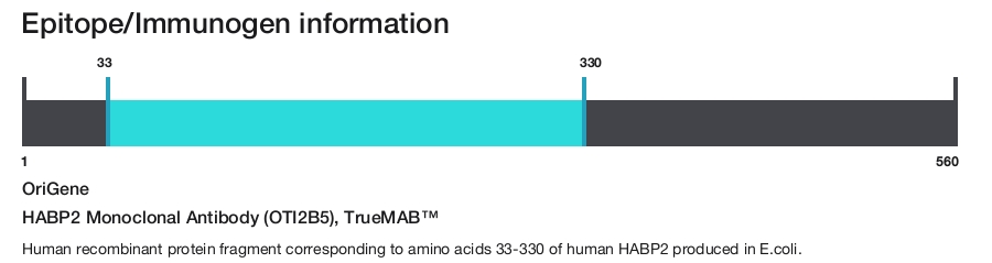 HABP2 Monoclonal Antibody (OTI2B5), TrueMAB&trade;