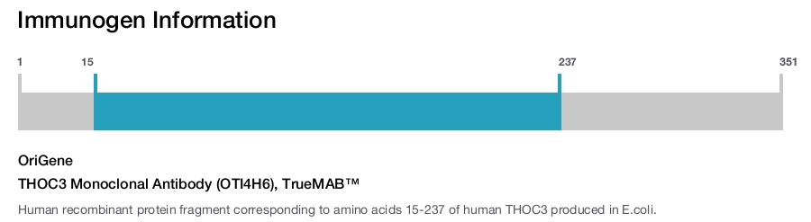 THOC3 Monoclonal Antibody (OTI4H6), TrueMAB&trade;
