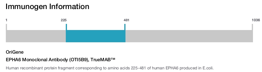 EPHA6 Monoclonal Antibody (OTI5B9), TrueMAB&trade;