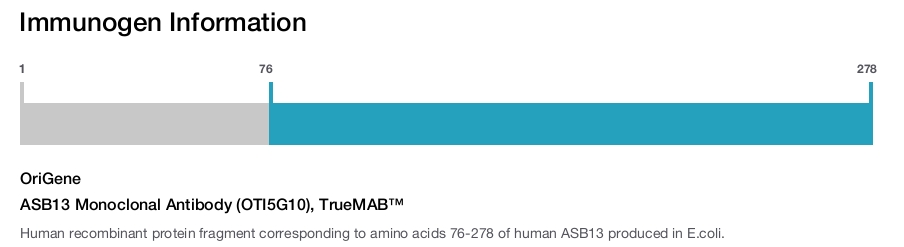ASB13 Monoclonal Antibody (OTI5G10), TrueMAB&trade;