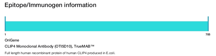 CLIP4 Monoclonal Antibody (OTI5D10), TrueMAB&trade;