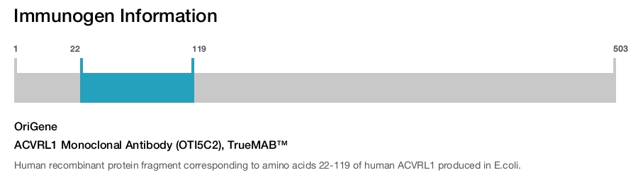 ACVRL1 Monoclonal Antibody (OTI5C2), TrueMAB&trade;