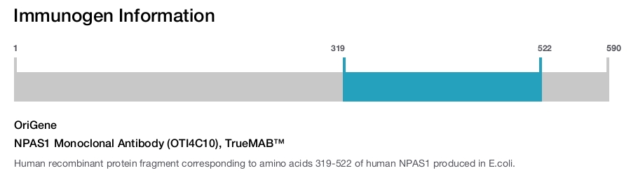 NPAS1 Monoclonal Antibody (OTI4C10), TrueMAB&trade;
