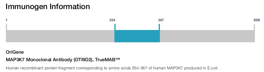 MAP3K7 Monoclonal Antibody (OTI9D2), TrueMAB&trade;