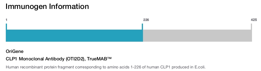 CLP1 Monoclonal Antibody (OTI2D2), TrueMAB&trade;
