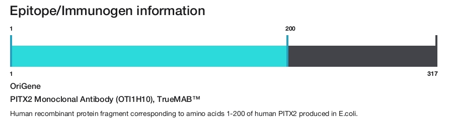 PITX2 Monoclonal Antibody (OTI1H10), TrueMAB&trade;