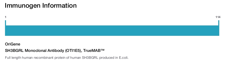 SH3BGRL Monoclonal Antibody (OTI1E5), TrueMAB&trade;