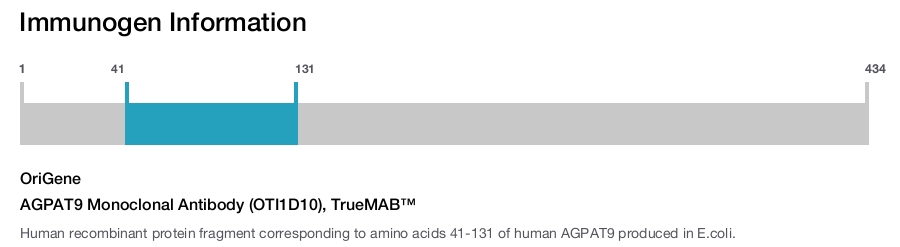 AGPAT9 Monoclonal Antibody (OTI1D10), TrueMAB&trade;