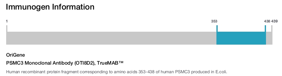 PSMC3 Monoclonal Antibody (OTI8D2), TrueMAB&trade;