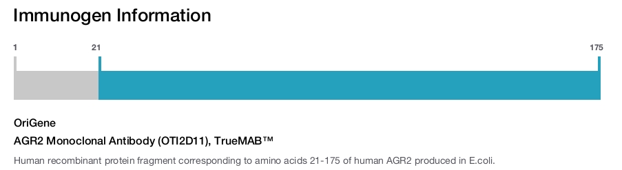 AGR2 Monoclonal Antibody (OTI2D11), TrueMAB™