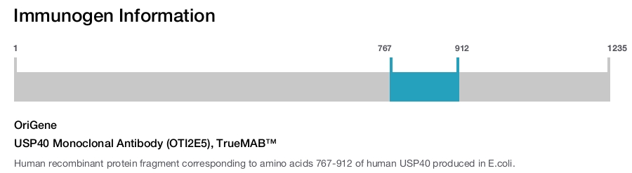 USP40 Monoclonal Antibody (OTI2E5), TrueMAB&trade;