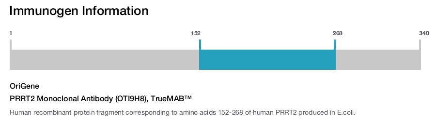 PRRT2 Monoclonal Antibody (OTI9H8), TrueMAB™