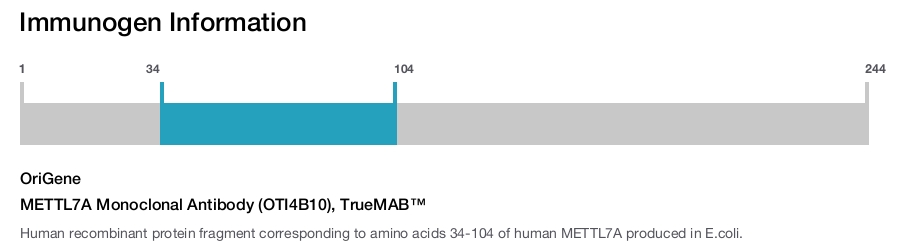 METTL7A Monoclonal Antibody (OTI4B10), TrueMAB&trade;