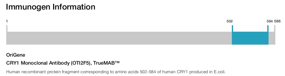 CRY1 Monoclonal Antibody (OTI2F5), TrueMAB&trade;