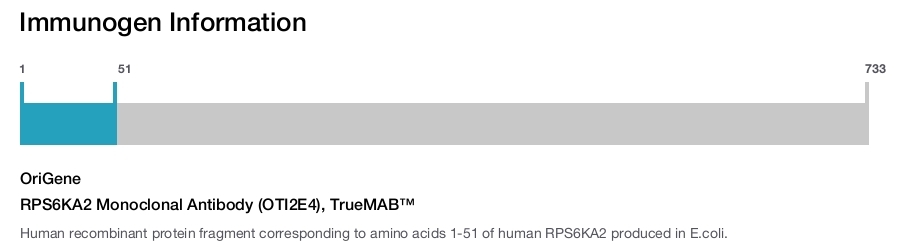 RPS6KA2 Monoclonal Antibody (OTI2E4), TrueMAB™