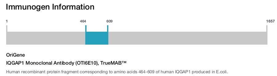IQGAP1 Monoclonal Antibody (OTI6E10), TrueMAB&trade;