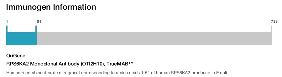 RPS6KA2 Monoclonal Antibody (OTI2H10), TrueMAB&trade;