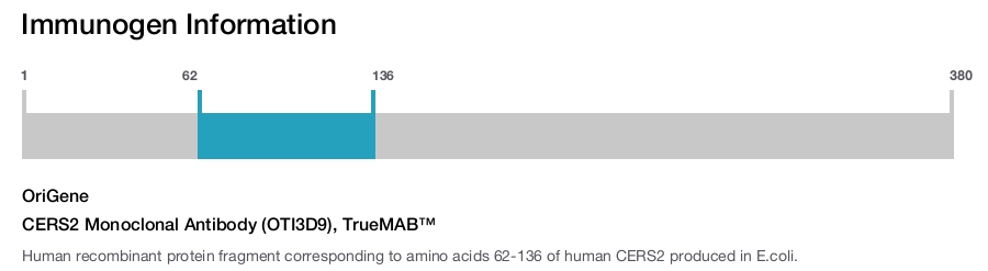 CERS2 Monoclonal Antibody (OTI3D9), TrueMAB&trade;